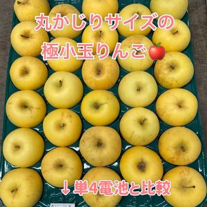 世界で一番美しいりんごは？　白雪姫＜はるか＞家庭用極小玉　商品説明必読