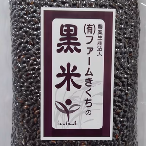 きくち黒米（菊池市産 黒もち米)　菊池米 日本遺産の米処