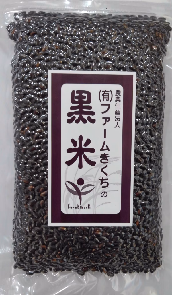 きくち黒米（菊池市産 黒もち米)　菊池米 日本遺産の米処