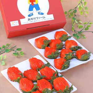 【1月予約お年賀】桃の香り恋みのり こだわり栽培で極めた香り400ｇ2パック
