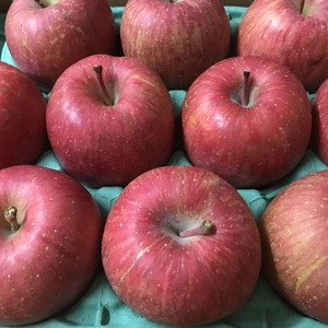 【人気商品】青森県産りんご「サンふじ」家庭用 きずあり 約3kg 