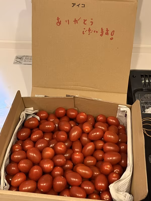 みんなの投稿の画像