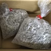 13日　今日の福袋売り切れてごめん！小さめかえり200ｇ単体のみ2個まで
