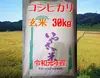 コシヒカリ 玄米 30kg【R１年産】金沢いやさか米