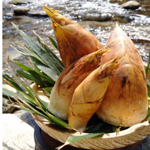 ★予約限定価格★【生たけのこ】採れたてをお届け！ 生たけのこ（2kg）