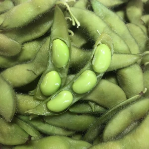 【自然栽培】枝豆　ユキホマレ(1kg)