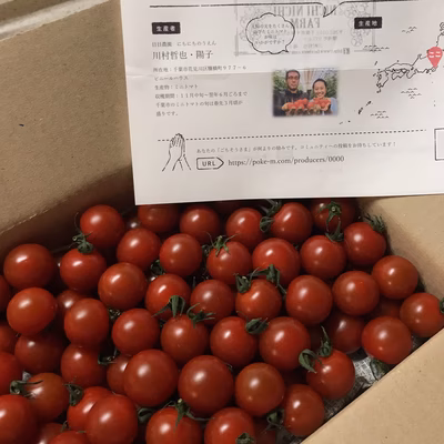 みんなの投稿の画像