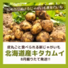 【8月発送!!】北海道産キタカムイ【掘りたて新じゃが】