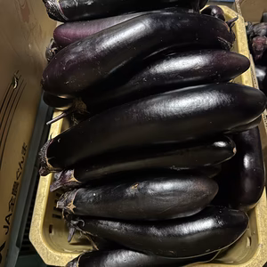 長茄子　群馬県東吾妻町産　【訳あり】10kg