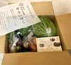 【豊作還元】楽しい野菜の宝箱「やさいばこ」（北陸の旬の野菜10品ほど）
