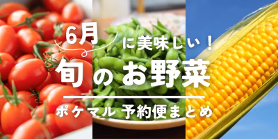 6月が旬の野菜（トマト・とうもろこし・えだ豆等）旬食材 予約・購入も