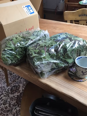 みんなの投稿の画像