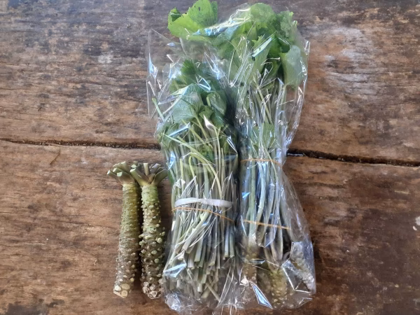 【リクエスト商品】真妻わさび(秀品大)×2、葉付き小わさび1束、茎わさび1束