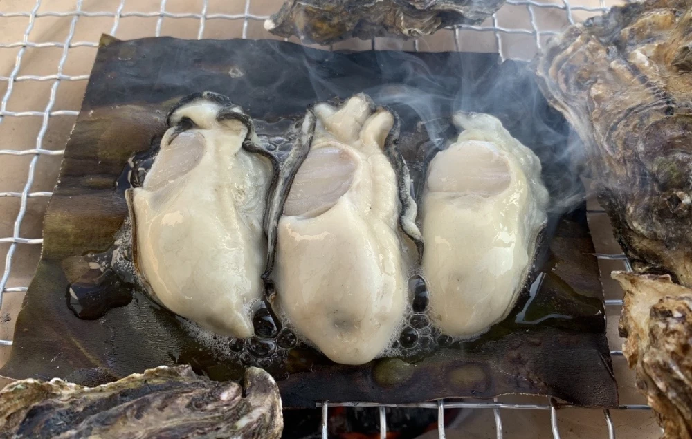 　美味しさ、鮮度に自信あり！  広島県産牡蠣むき身　生食用　500g　