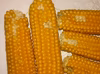 ポップコーン用とうもろこし＜２セット＞
