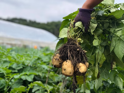 みんなの投稿の画像