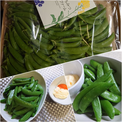 みんなの投稿の画像