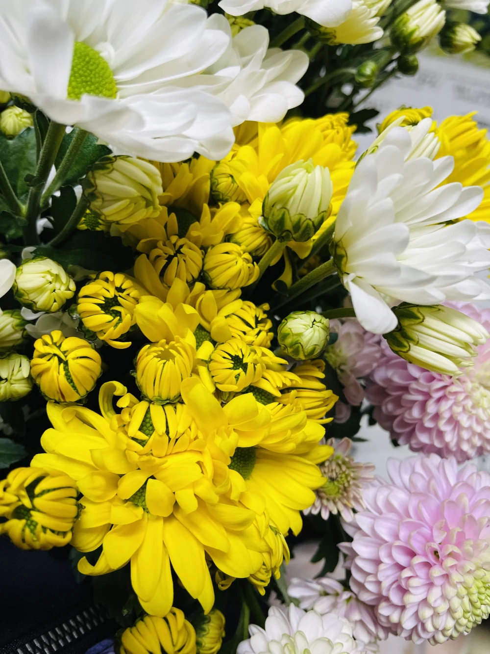 【仏花におすすめ！】仏様用スプレーマム（菊）花束セット【4束セット】