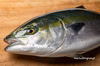 朝締め直送　鰤丸一本 食べ尽くし！！