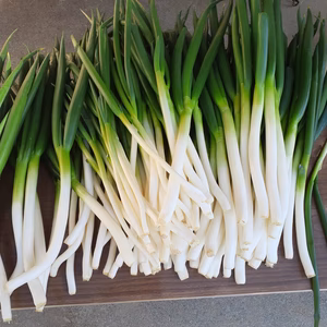白ネギ