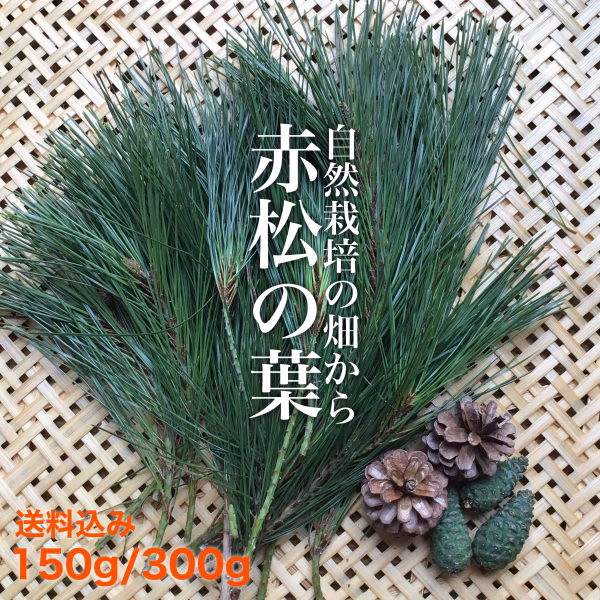 松葉茶にいかが？ 自然の生松葉【送料込み】