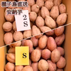【絶品】種子島産 安納芋 2S&S 混合サイズ｜aimo農園