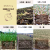 毎日5名様限定！【大玉】淡路島産たまねぎ 特別栽培 兵庫県認証食品 レシピ付き