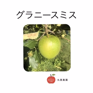 ※お得商品※  グラニースミス超小玉　減農薬ネオニコチノイド系農薬不使用