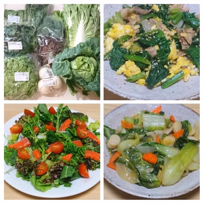 みんなの投稿の画像