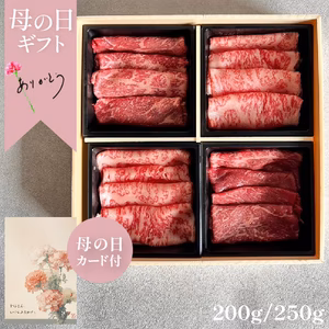 【母の日 ギフト】鳥取和牛紅白2種一口焼しゃぶ（焼肉・すきしゃぶ用）