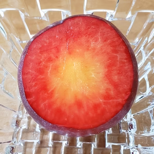 【限定 食べ比べ箱】農薬不使用すもも 2品種食べ比べセット　