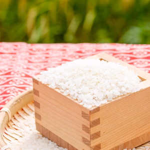 【冬ギフト】北海道米食べ比べセット！北海道米おぼろづき＆ななつぼし　玄米