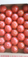 「クール冷蔵」発送。『ウクライナ支援企画』売上の一割を寄附します。大玉トマトです