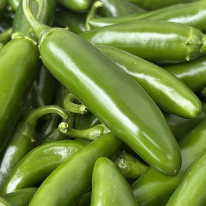 [ネコポス便] 信州産 | ウマ辛！採れたて新鮮ハラペーニョ