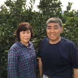 石井淳一 | 石福