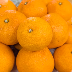 【訳あり】みかん（S～L混合サイズ・多少傷あり）家庭用詰め合わせ約2.5kg