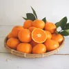 【12月発送】木成り 完熟温州みかん（ミックスサイズ）