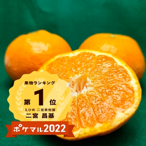 Mサイズ　完熟みかんで一番人気　！