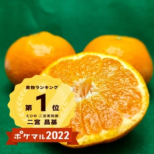 【福袋2023】Mサイズ　完熟みかんで一番人気　！　レモンつき