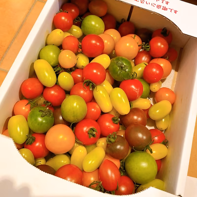 みんなの投稿の画像