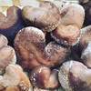 【ハートのきのこ付♥️】軸太ブルしい1キロ
