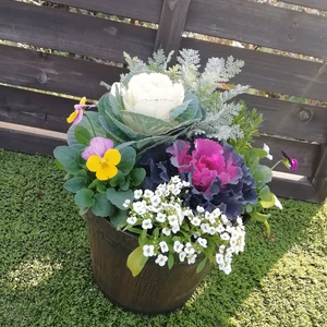 軽い木目樽性鉢[プラスチック]葉牡丹&冬のお花達の寄せ鉢