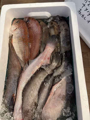 みんなの投稿の画像