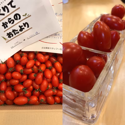 みんなの投稿の画像