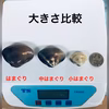 中型はまぐり　ながらみ　各1キロ