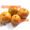［期間限定］ご家庭向きの早生みかん【農薬不使用】4kg