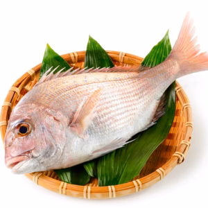 ▼限定10名 売り切れ次第終了【絶品魚 柏島真鯛】