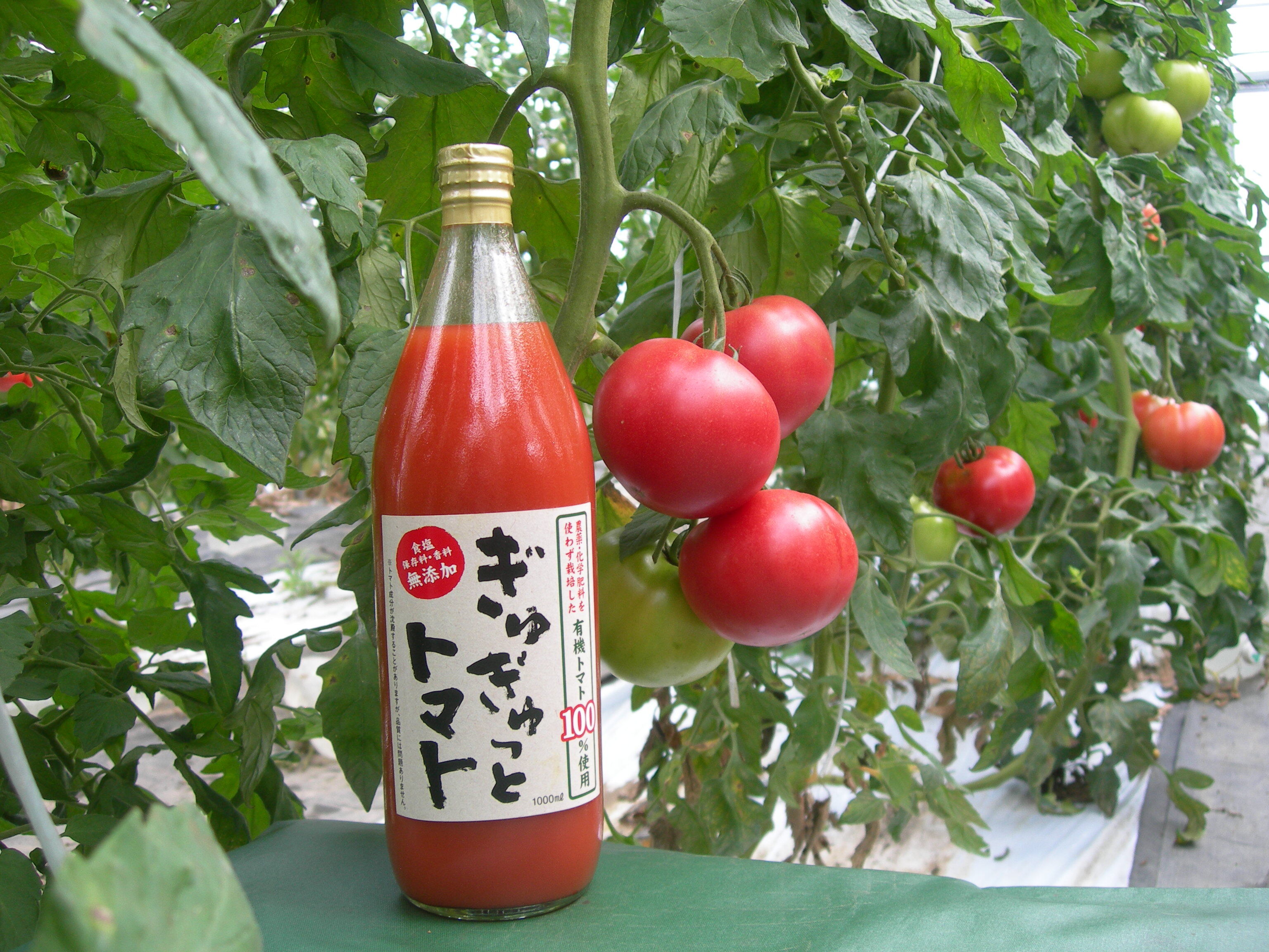 トマト 有機トマト100％使用ジュース！「ぎゅぎゅっとトマト」1ℓ6本入り