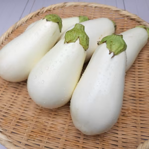 加熱するととろける白ナス！とろーり旨なす