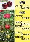 長野県産 サンふじ【贈答用 3kg】減農薬 葉とらず 10月中旬頃出荷予定